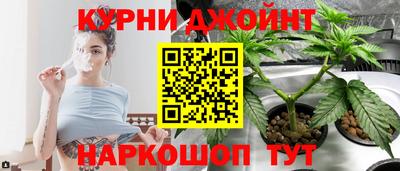 индика Лесосибирск