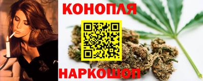 индика Лесосибирск