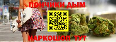 индика Лесосибирск