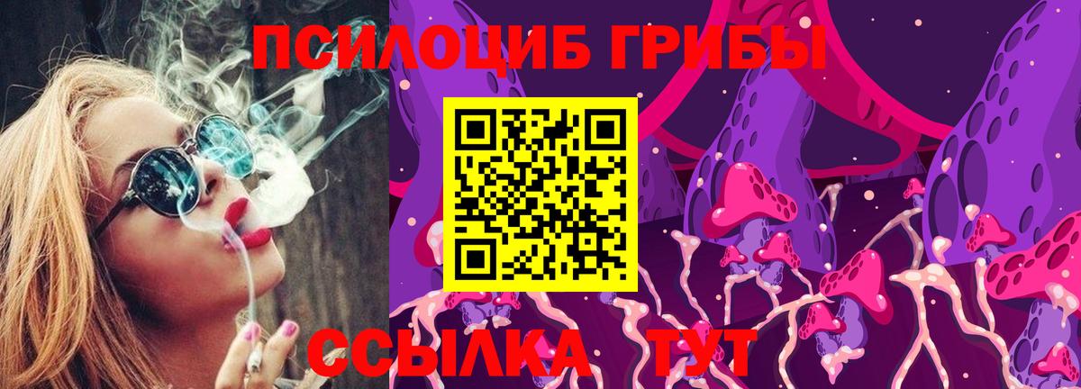 Псилоцибиновые грибы мицелий Биробиджан