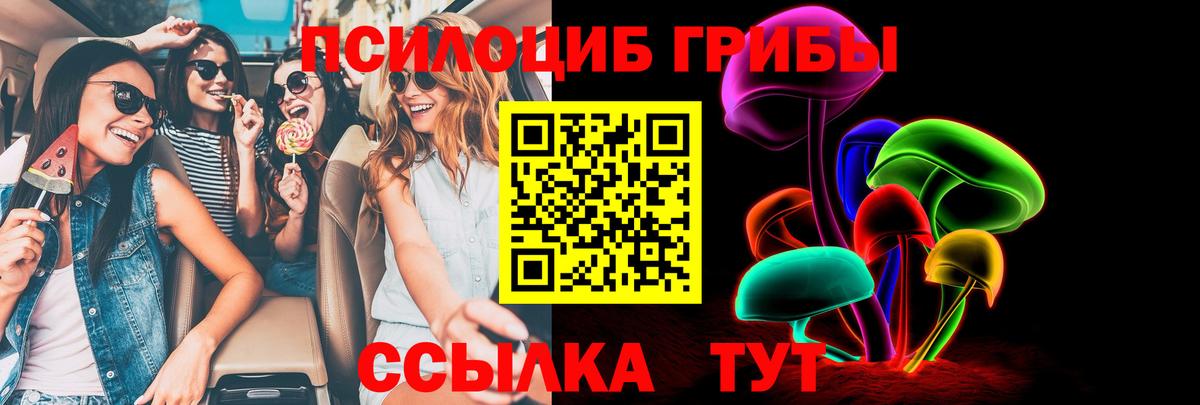 Биробиджан  Галлюциногенные грибы Magic Shrooms  Вход с VPN 